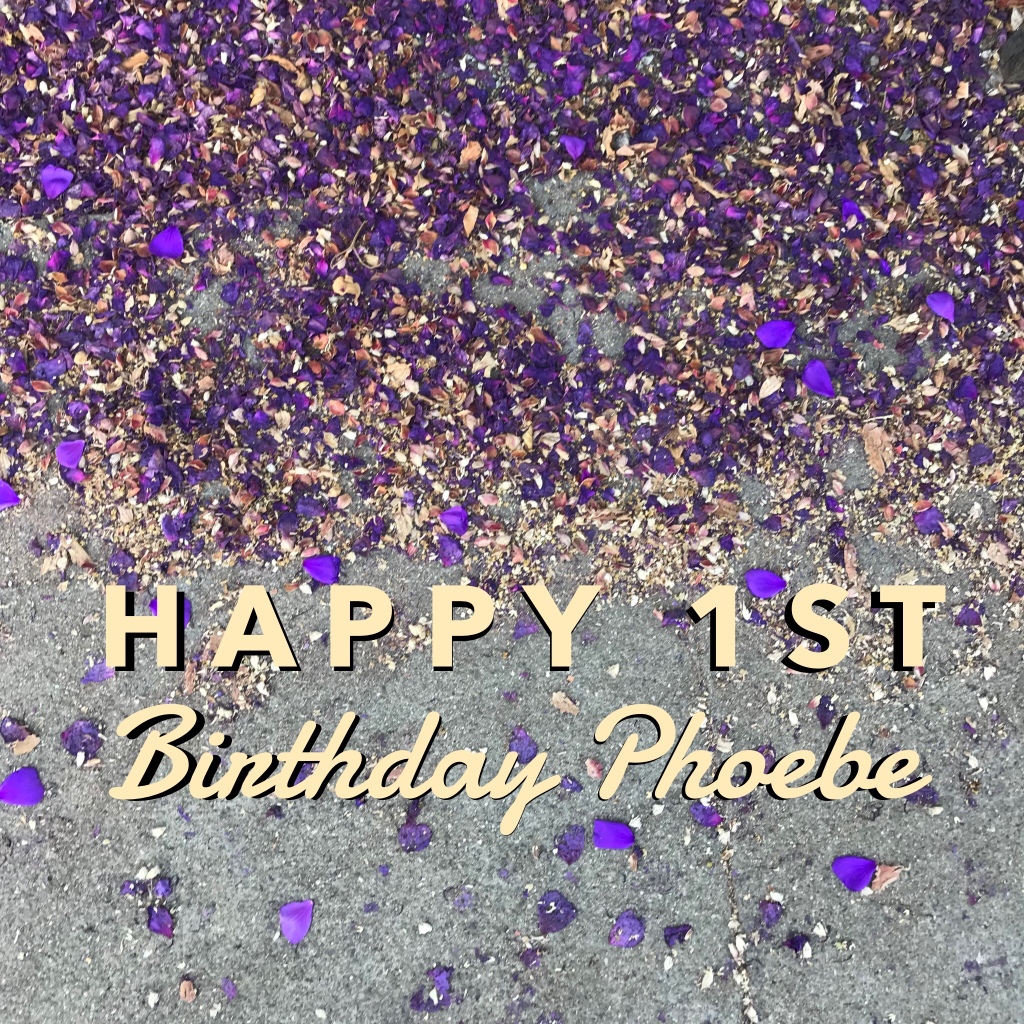 Happy 1st Birthday Phoebe